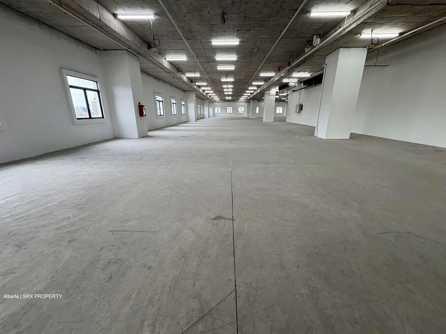 Admirax (D27), Factory #603554031